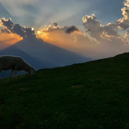 Quartier 27 * 툴페스