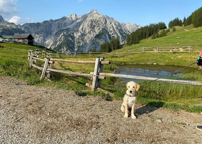 Quartier 27 아파트 *