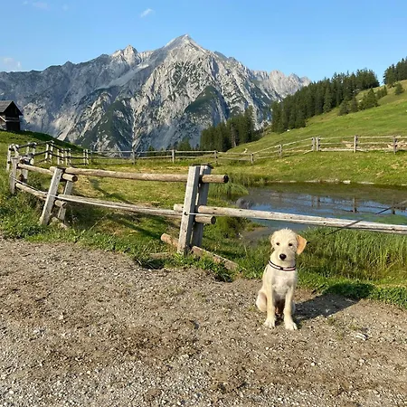 Quartier 27 Appartement *