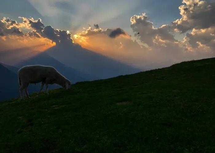 Quartier 27 * 图尔菲斯